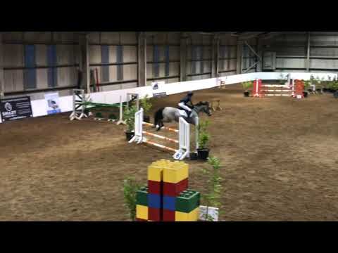 Show Jumper All Rounder 148 Pony 1.10m - Image 2