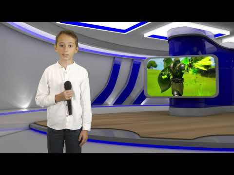 Noutăți în jocul Fortnite - EDUARD VADUVA