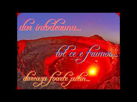 alex felea feat mario fresh-am ramas cu gandul