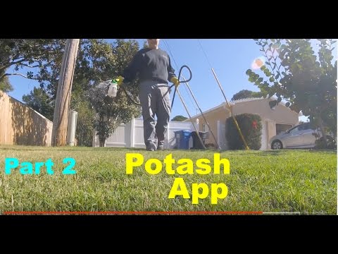 Part2: Adding Potassium or Potash to the Lawn