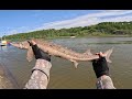 Video Thumbnail for Wormin' for Sturgeon
