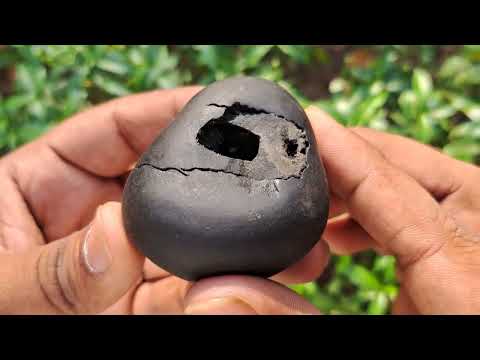 Kurma Hari OM Hara Incarnations Avatar of Vishnu Shaligramji video