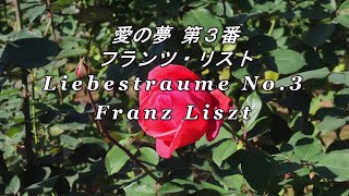 Download lagu （解説入り）愛の夢 第3番 リスト Liebestraume No 3 Liszt mp3