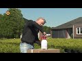 Buxuskweker Adrie van Dun heeft een biologisch alternatief voor de gifspuit