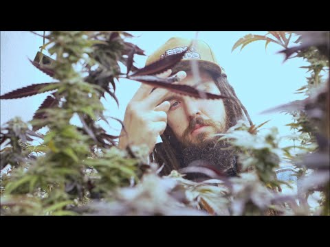 DADA I - МОЛОДОЙ ГОРАЦИЙ/YOUNG HORACE [OFFICIAL VIDEO] 2023