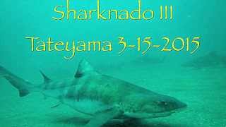 preview picture of video 'Sharknado III, 3-15-2015'