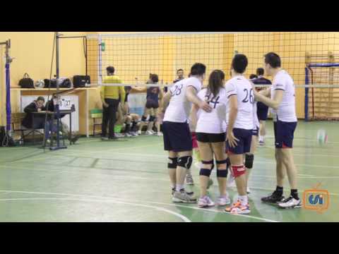 Sintesi Millennium Bug.Org - Cachi