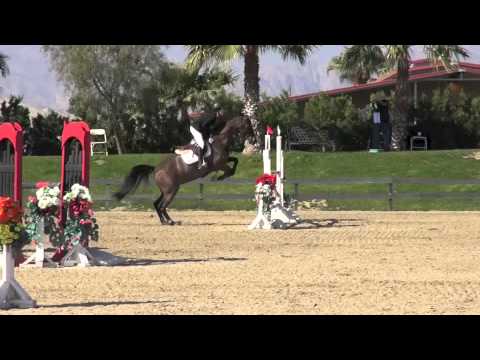 Thilde 110 Jumper Classic Champion Feb 9, 2014
