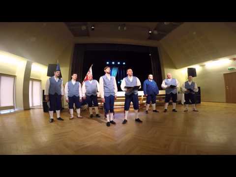 Alen Veziko - See maa (Mehed mandrilt)