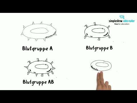 Blutgruppen - einfach erklärt
