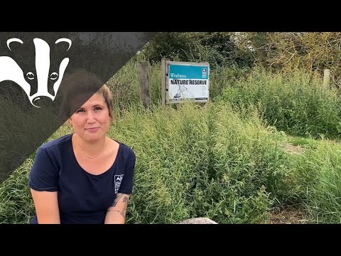 The Essex Coastal Challenge - Wrabness nature reserve