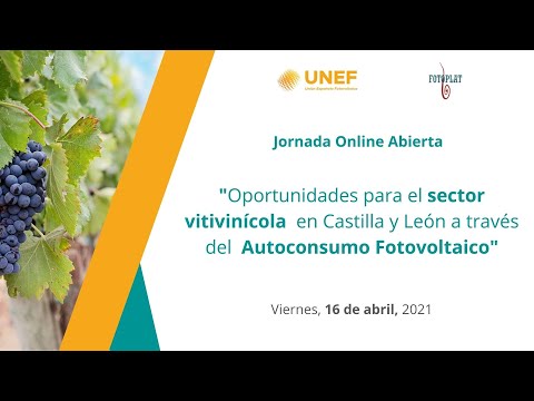 Fotograma del vídeo: Oportunidades para el sector vitivinícola a través del autoconsumo fotovoltaico en Castilla y León