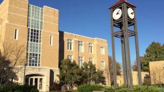 Joey&#39;s Place Feature Story