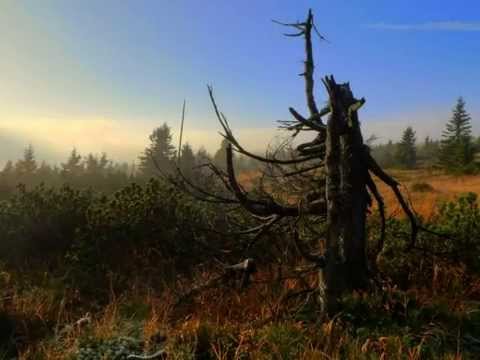 BALAKIREV_In Bohemia- Overture on Czech Themes