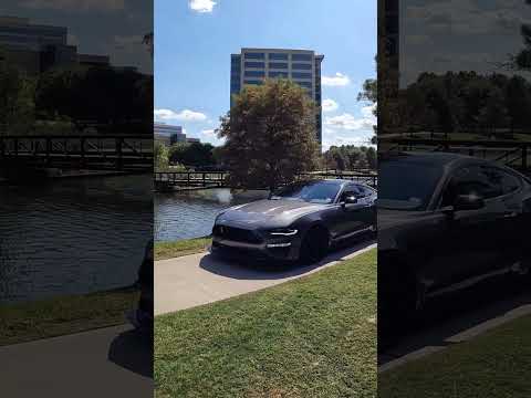 Mustang GT Corsa Xtreme Catback Exhaust VS Mustang GT Stock Active Mufflers! What Sounds BETTER?