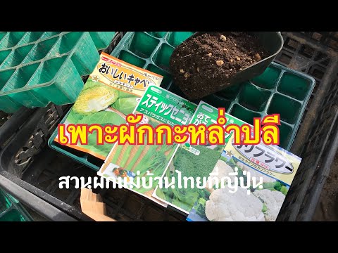 หน้าอกลดลงจากรากเทียม ขยายขนาดหน้าอกในผู้ชายกับผู้หญิง