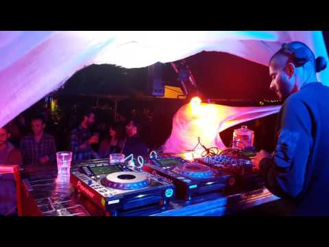 Nems-B x 29.10.16 x Nuba