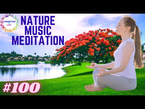 NATURE MUSIC MEDITATION FOR PEACEFUL MIND | RELAXING NATURE MUSIC FOR STRESS RELIEF #100