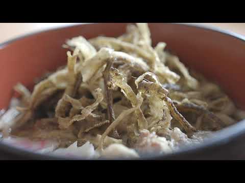 やまぐち映像図鑑 NO.021 ごぼう麺［美祢市］ | Burdock noodles [ Mine-city ]
