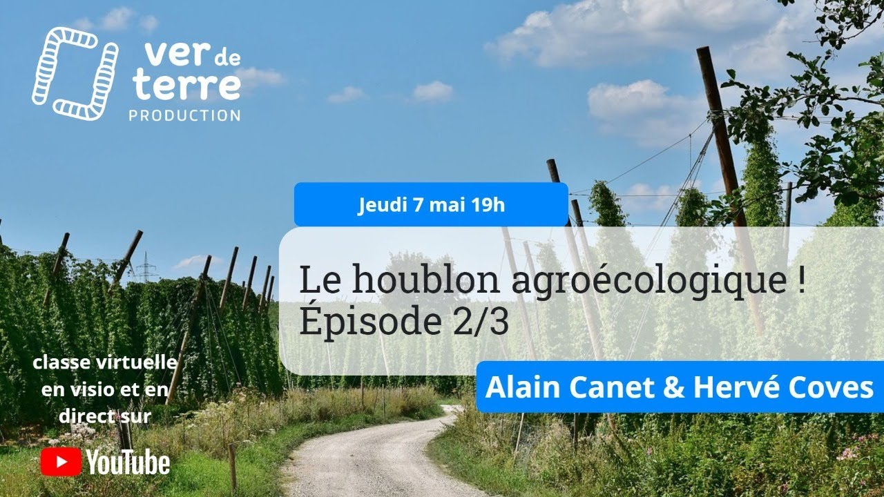 Le houblon agroécologique ! Ep.2/3, avec Alain Canet & Hervé Coves