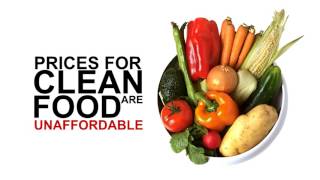 Sell Organic Foods Online | Business Opportunities | Health Merchant