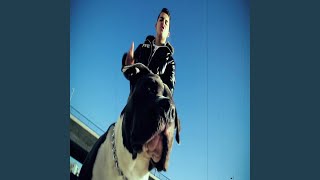 Zoni - Stoff Von Dem Boss