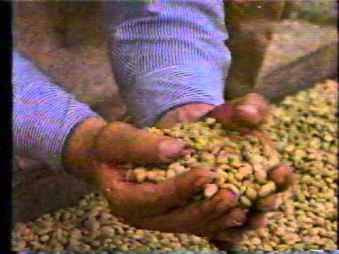 Juan Valdez Coffee TV Ad 1985