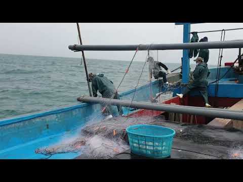 Amazing Gill Net Fishing Line On the Boat #03