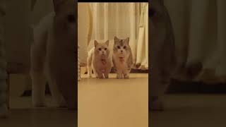 Download lagu ad93587f 3f07 403c b57a 0e8c744e98fa mp3 Download lagu ad93587f 3f07 403c b57a 0e8c744e98fa mp3