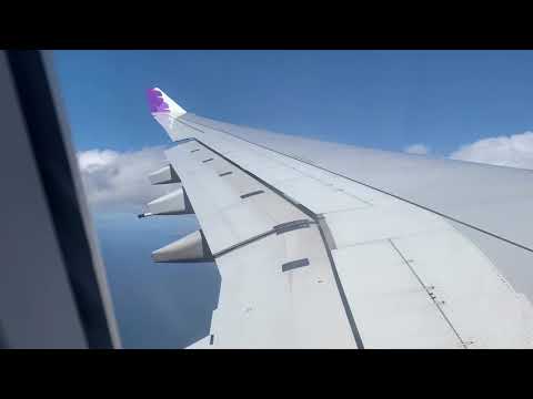 Common Kings - champion