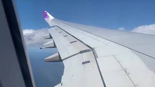 Common Kings - champion