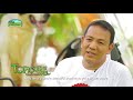 Alagang Magaling S10 Ep10 Pet Options Nerio Frani Stbernard