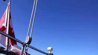 Sarah Harmer &quot;Salamandre&quot;