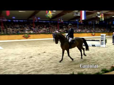 Cantolar english 2015