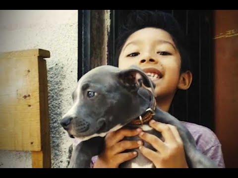 Tras sismo, Asaf y su mascota duermen en la calle