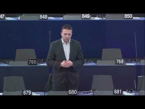 Dr. sc. Tomislav Sokol na plenarnoj sjednici EP-a (1)