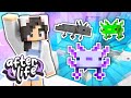 💜Colorful Collection!🐟 Afterlife SMP Ep.11