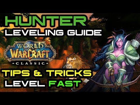 Hunter Leveling Guide Tips Tricks For Leveling A Hunter In Vanilla
