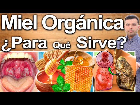 Organic Honey: What is it Good For? - Benefits of Eating Honey for Your Health and Beauty