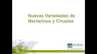 Nuevas Variedades de nectarinos y ciruelas.