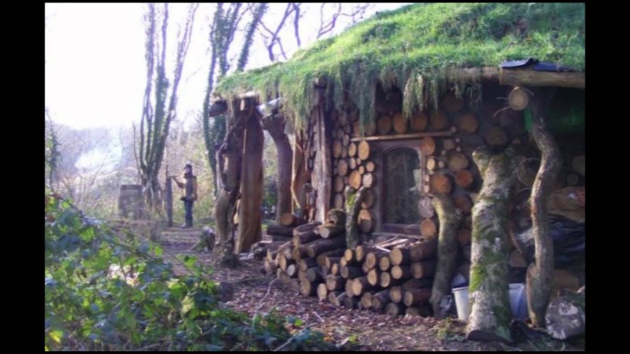 Bioconstrução - Telhado verde