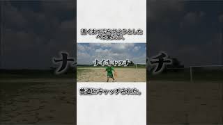 レイクレ雑学part7 #レイクレ #レイクレ天下統一 #レイクレ好きやねん#レイクレ切り抜き