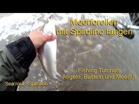 Catching sea trout with Spirolino