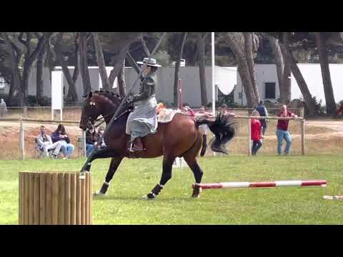 Velocidade - Nicole e Hábil de Sena