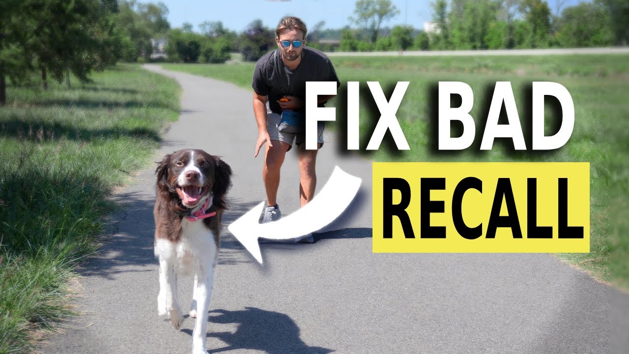 Ultimate Guide For the Perfect Recall