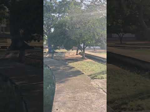 Los Haticos, San Juan del Cesar La Guajira #turismo #noticiasturismo #patrimonionacional