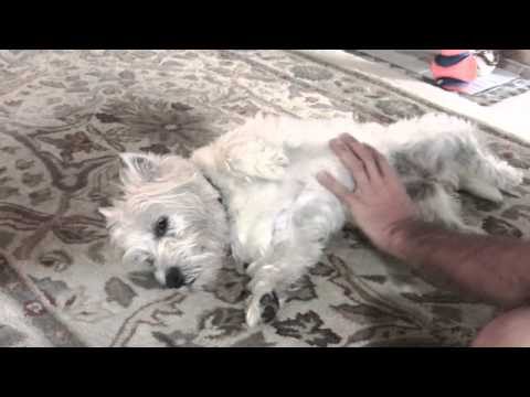 Poppy's Spa Vacation