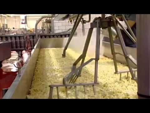 download lagu mp3 mp4 Amish Cheddar Cheese, download lagu Amish Cheddar Cheese gratis, unduh video klip Amish Cheddar Cheese