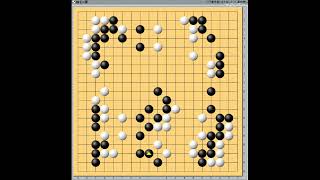 囲碁【5子局指導碁解説】