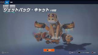 Overwatch　パッション